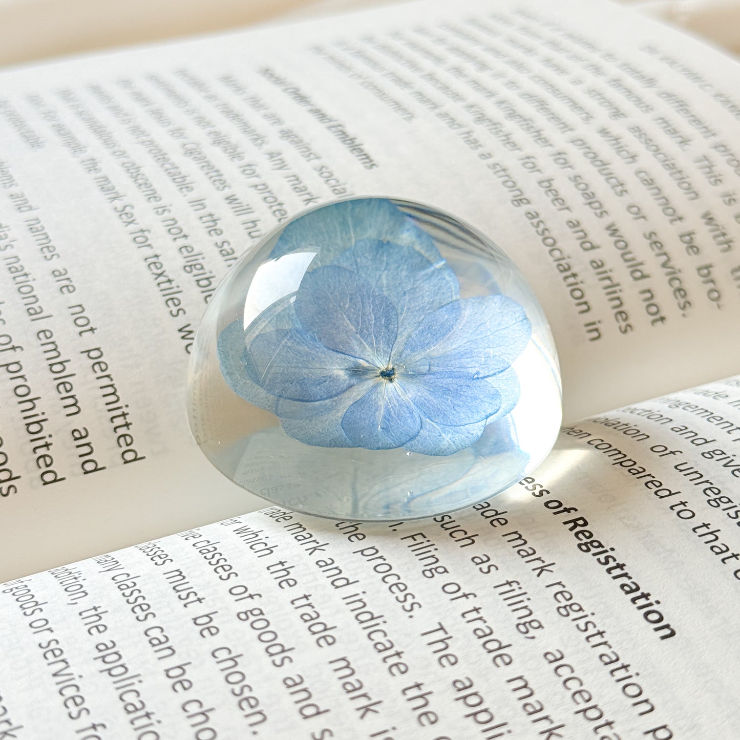 Ocean’s Embrace Paperweight