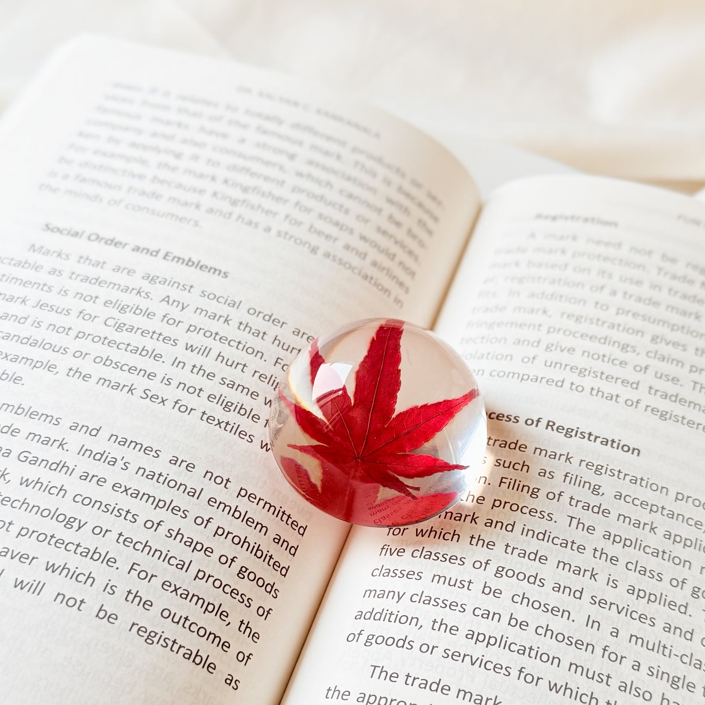 Nature’s Maple Paperweight