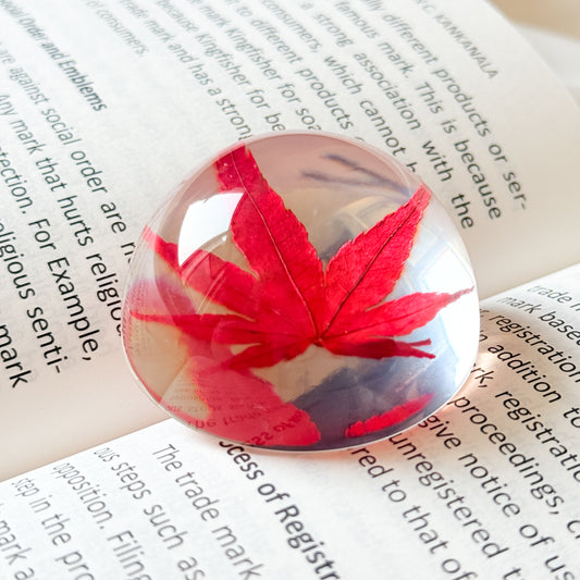 Nature’s Maple Paperweight