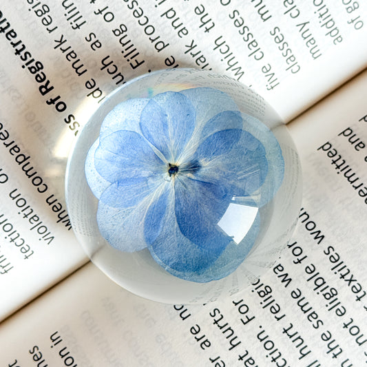 Ocean’s Embrace Paperweight